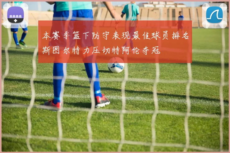 本赛季篮下防守表现最佳球员排名斯图尔特力压切特阿伦夺冠