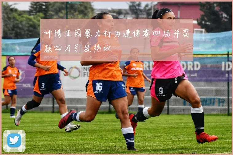叶博亚因暴力行为遭停赛四场并罚款四万引发热议
